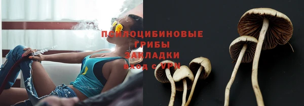 гидропоника Абинск
