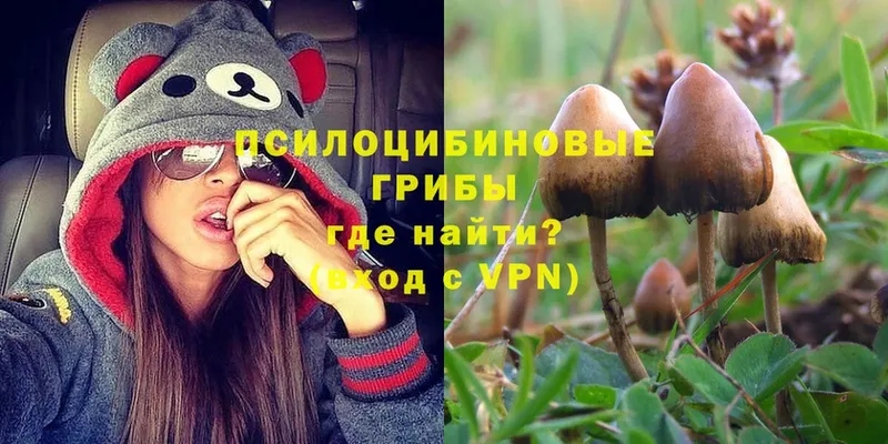 Псилоцибиновые грибы GOLDEN TEACHER  Первоуральск 